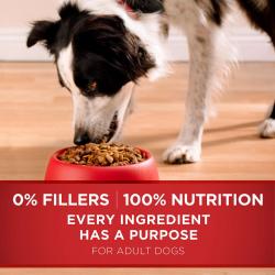 Purina ONE SmartBlend Natural Lamb and Rice Formula Adult Dry Dog Food (44 lbs.)