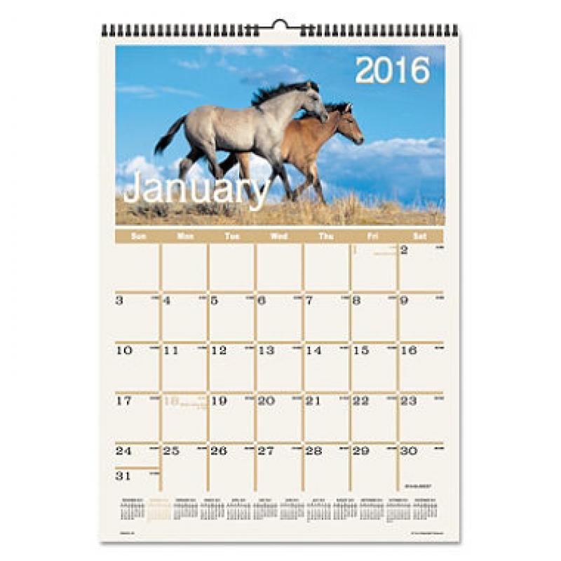 AT-A-GLANCE Horses Monthly Wall Calendar, 12 x 17, 2017