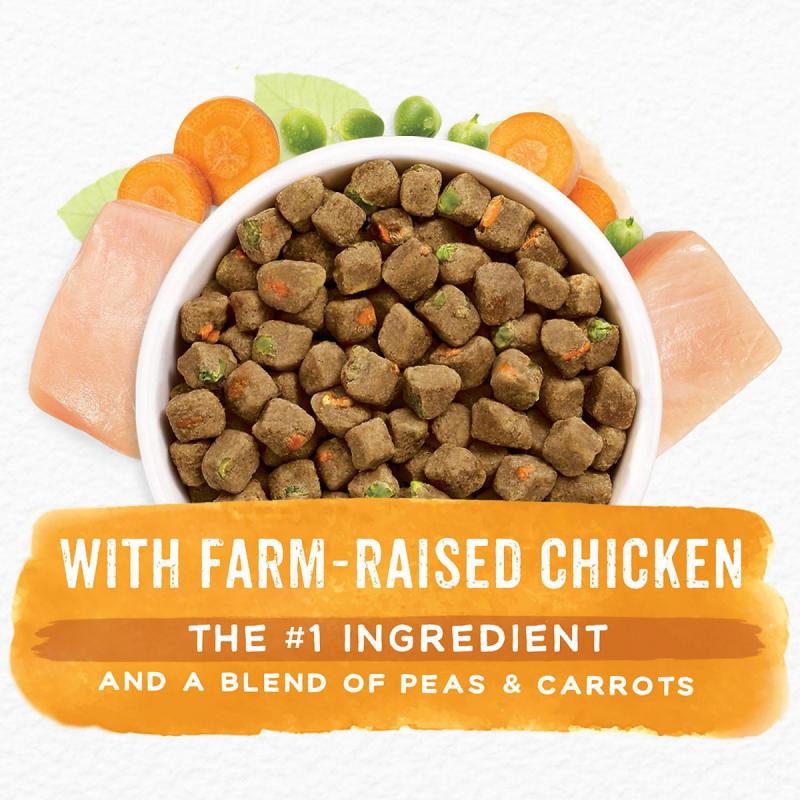 Purina Beneful Simple Goodness with Farm-Raised Chicken Adult Dry Dog Food (64 Stay-Fresh Pouches)