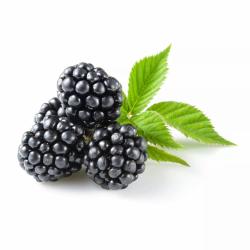 Driscoll's Fresh Blackberries (18 oz.)