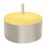 Extended Burn Citronella Tealight Candles (100 ct.)
