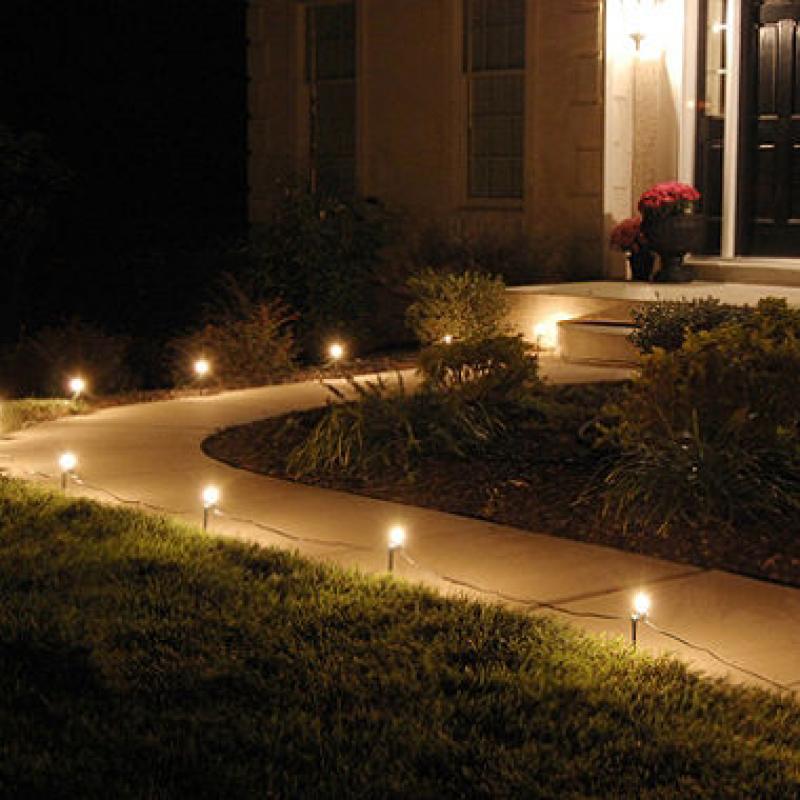 Electric Pathway Clear Lights - 10 ct.
