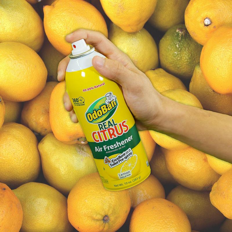 OdoBan Real Citrus Air Freshener, Lemon Scent (10oz., 2pk.)