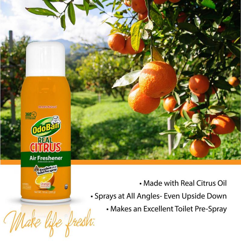 OdoBan Real Citrus Air Freshener, Orange (10oz., 2pk.)