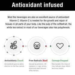 Bai Antioxidant Surfside Variety Pack (18oz / 15pk)