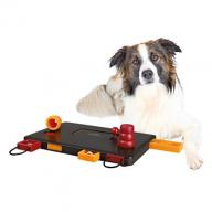 Trixie Move-2-Win Activity for Dogs, Advanced (13.5" x 5")