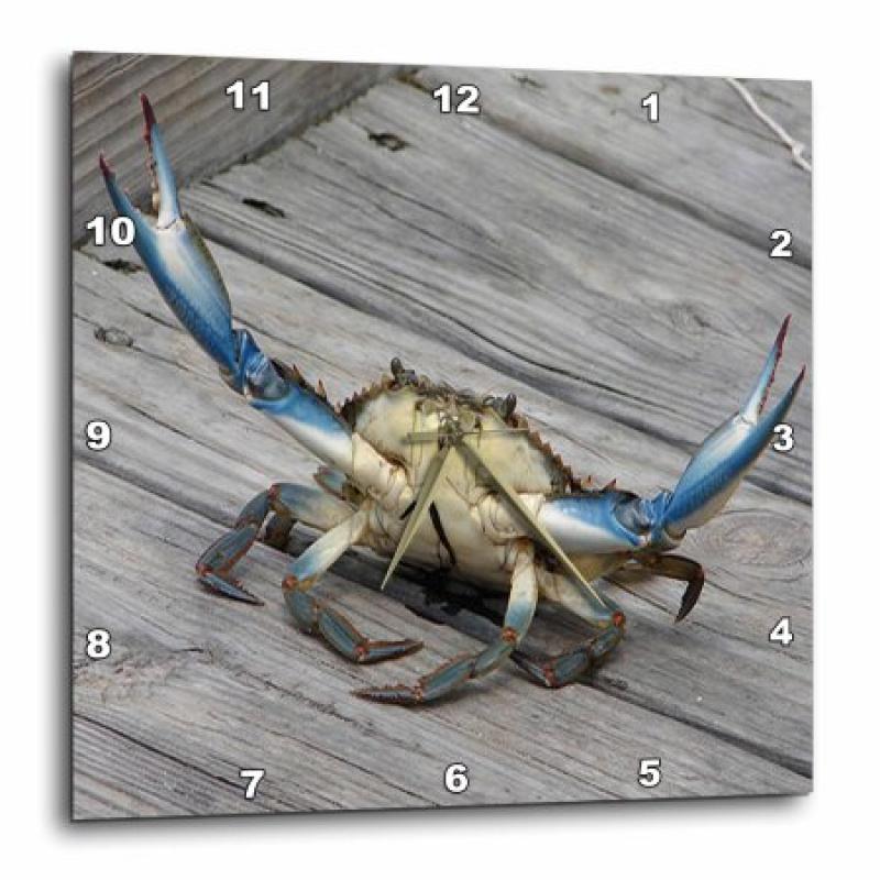 3dRose Blue Crab - marine, creature, animal, animals, wildlife, ocean, invertebrate, blue, crab, seafood, Wall Clock, 13 by 13-inch