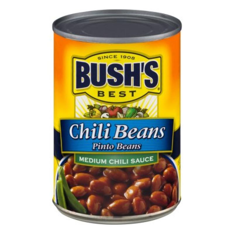 BUSH&#039;S BEST Chili Beans Pinto Beans Medium Chili Sauce, 16.0 OZ