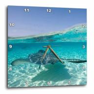 3dRose Cayman Islands, Southern Stingray in Caribbean Sea-CA42 PSO0047 - Paul Souders, Wall Clock, 13 by 13-inch