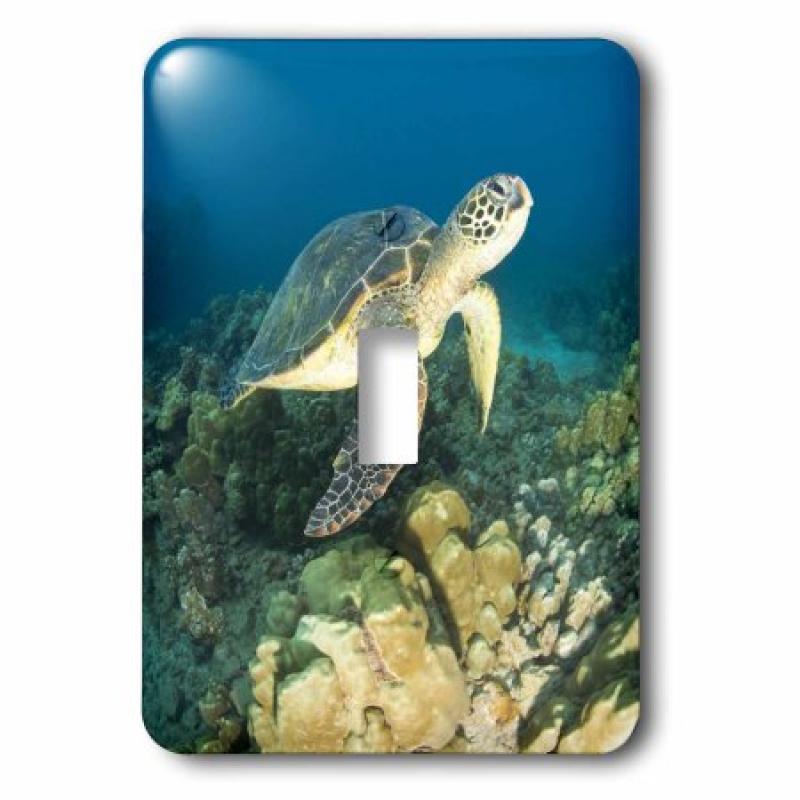 3dRose Green Sea Turtle, Makena SP, Maui, Hawaii - US12 SWS0150 - Stuart Westmorland, 2 Plug Outlet Cover
