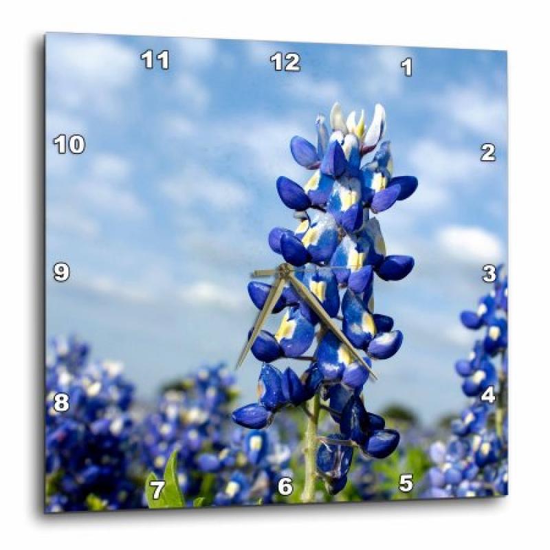 3dRose Bluebonnets, Freyburg, Texas - US44 FVI0019 - Franklin Viola, Wall Clock, 10 by 10-inch
