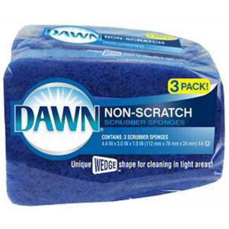 Dawn Non-Scratch Sponges, 1.0 CT