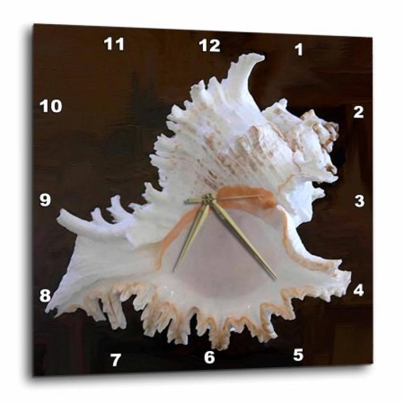 3dRose Sea Shell, Wall Clock, 15 by 15-inch