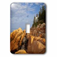 3dRose Bass Harbor Lighthouse, Acadia National Park, Maine - US20 CHA0018 - Chuck Haney, Single Toggle Switch