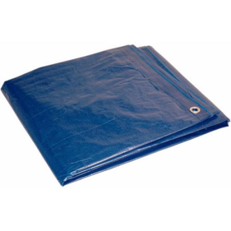 Foremost Tarp 10&#039; x 12&#039; Blue Dry Top Polyethylene Tarpaulin
