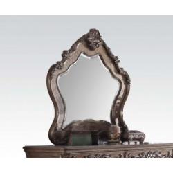 Acme Ragenardus Mirror in Vintage Oak 26314