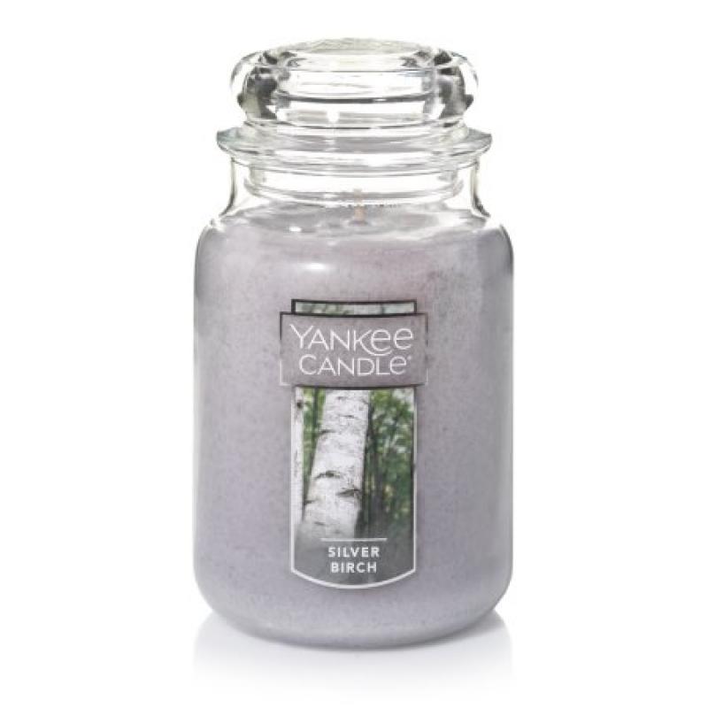 Yankee Candle Large Jar Candle, Silver Birch