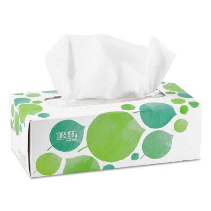 Seventh Generation 100% Recycled Facial Tissue, 2-Ply, 175/Box