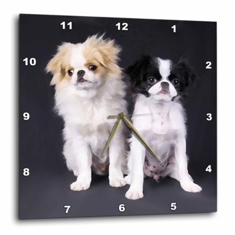 3dRose Japanese Chin, Wall Clock, 10 by 10-inch