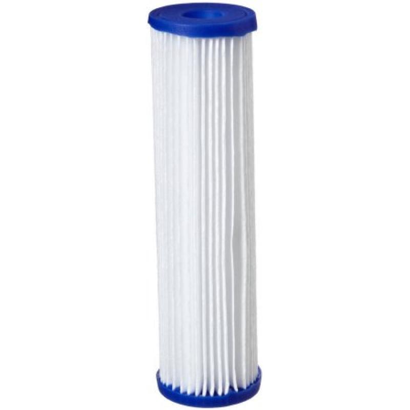 Pentek R30 Pleated Polyester Water Filters (9-3/4" x 2-5/8")