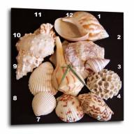 3dRose Seashells On Black, Wall Clock, 13 by 13-inch