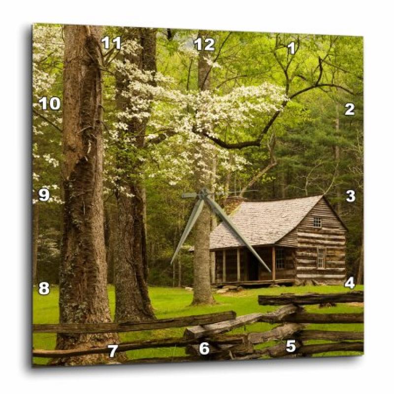 3dRose Tennessee, Great Smoky Mountain NP, Cades Cove cabin - US11 JWL0271 - Joanne Wells, Wall Clock, 10 by 10-inch