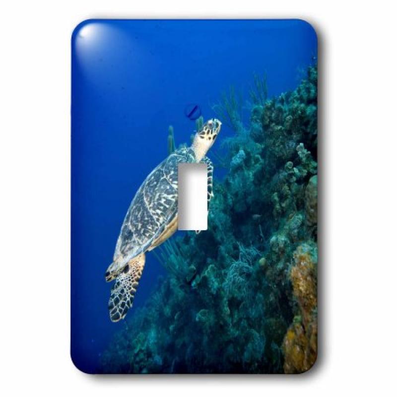 3dRose Cayman Islands, Hawksbill Sea Turtle and coral reef -CA42 PSO0091 - Paul Souders, 2 Plug Outlet Cover