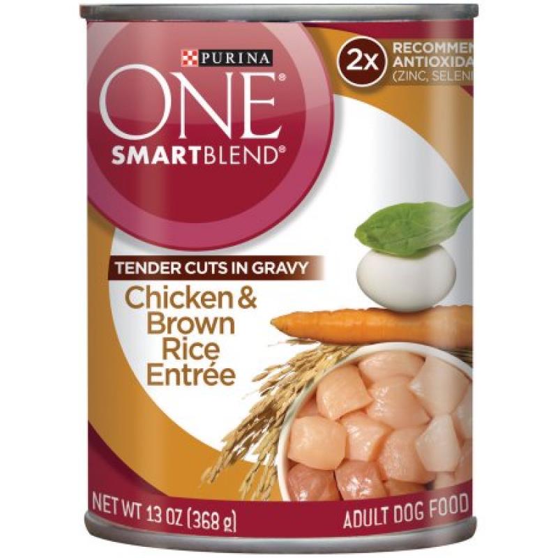 Purina ONE SmartBlend Tender Cuts in Gravy Chicken & Brown Rice Entree Adult Dog Food 13 oz. Can