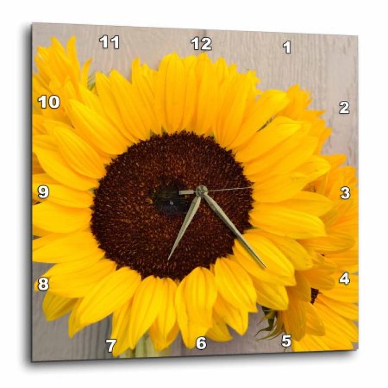 3dRose Garden Sunflowers- Yellow Flowers- Photography, Wall Clock, 10 by 10-inch