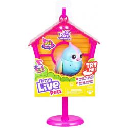 Lil’ Bird & Bird House