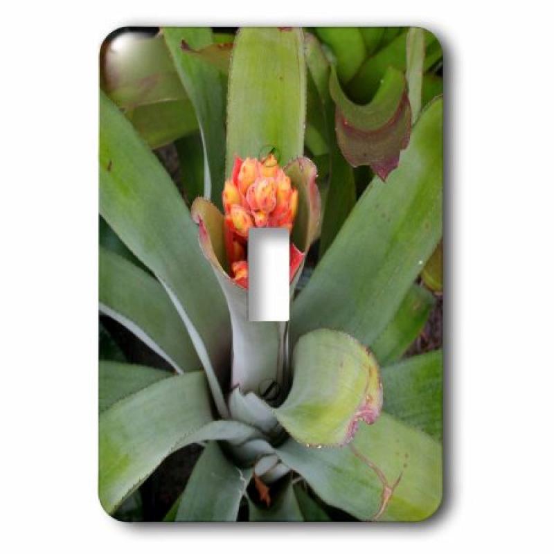 3dRose flowering bromeliad plant , Single Toggle Switch