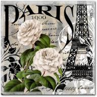 Trademark Fine Art "Paris Blanc II" Canvas Art by Color Bakery