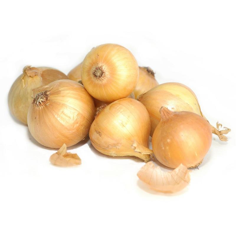 Yellow Onion 10 lb  Bag