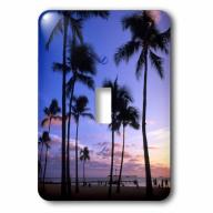 3dRose Sunset on Waikiki beach Oahu, Hawaii, USA - US12 MDE0010 - Michael DeFreitas, Single Toggle Switch