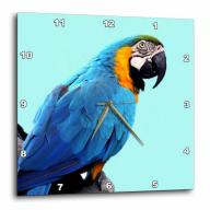 3dRose Macaw parrot, blue and yellow, pet, nature, Wall Clock, 10 by 10-inch