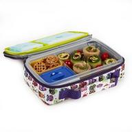 Bento Lunch Kit with Insulated Carry Bag