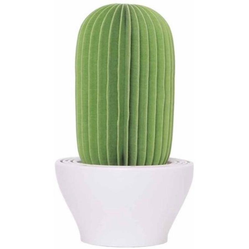 Cactus Non-Electric Personal Humidifier in Light Green