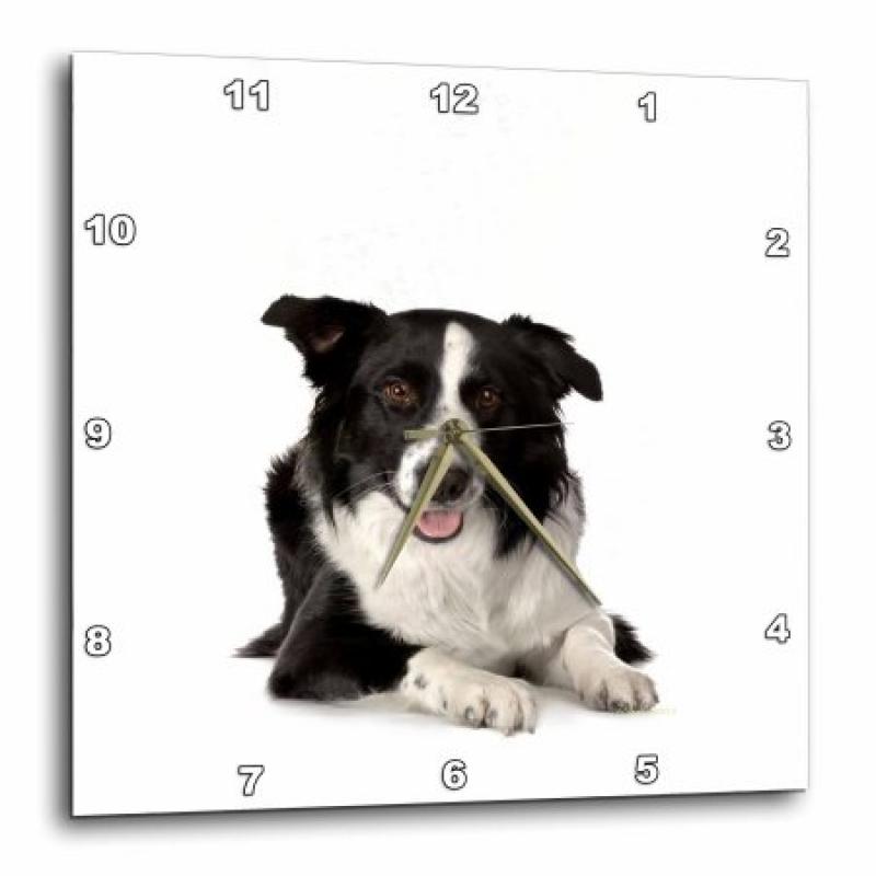 3dRose Border Collie, Wall Clock, 15 by 15-inch
