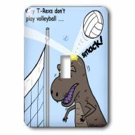 3dRose Why T-Rex does not like volleyball, Single Toggle Switch