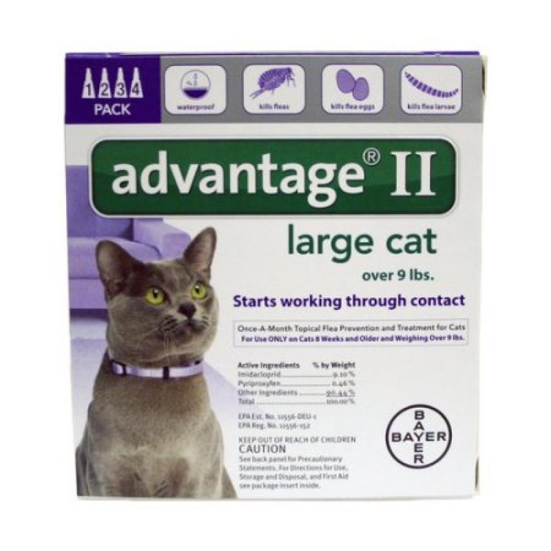 Advantage II Purple Cat, 4 Months