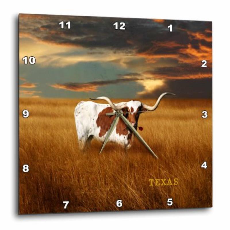 3dRose A Texas Longhorn, Wall Clock, 13 by 13-inch
