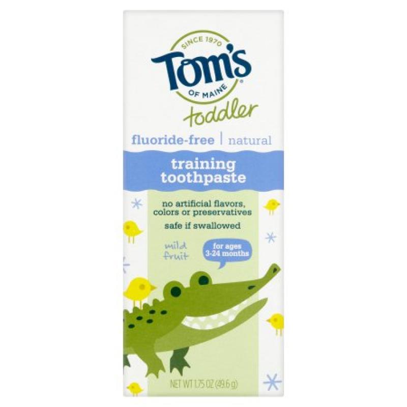 Tom&#039;s of Maine Toddler Fluoride-Free Natural Mild Fruit Flavor Training Toothpaste, 1.75 oz