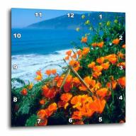 3dRose USA, California, California Poppies along the Pacific Coast., Wall Clock, 10 by 10-inch