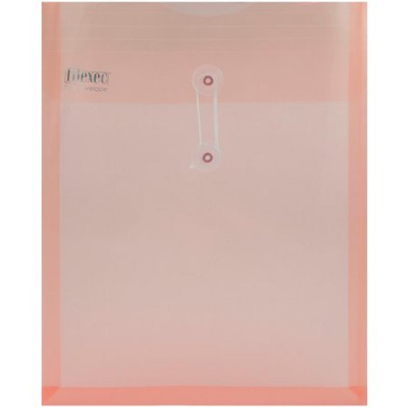 JAM Paper #10 5" x 10" Plastic Filing Envelopes with Velcro Brand Closure, Blue, 108-Pack