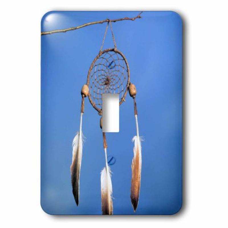 3dRose Native American Dreamcatcher - US52 AWY0014 - Angel Wynn, Single Toggle Switch