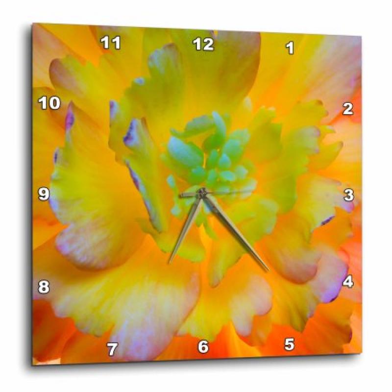 3dRose USA, Washington, Seabeck. A back-lit, glowing begonia blossom., Wall Clock, 10 by 10-inch