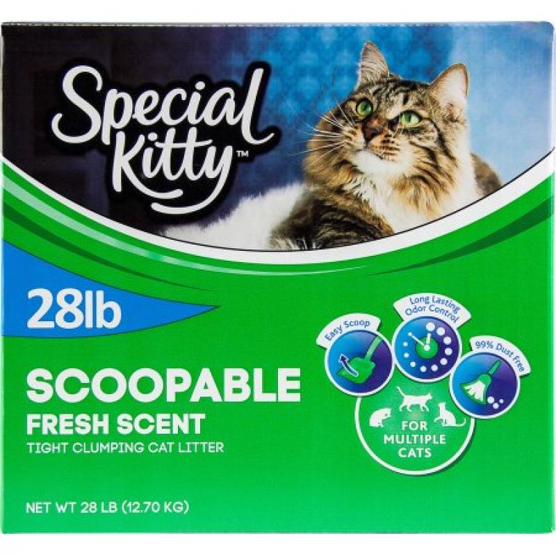 Special Kitty Multiple Cat Clumping Cat Litter, 28 lbs