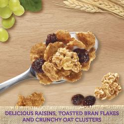 Kellogg&#039;s Original Raisin Bran Crunch Breakfast Cereal (42 oz.)