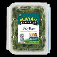 Organic Salad Baby  Kale Power  Green