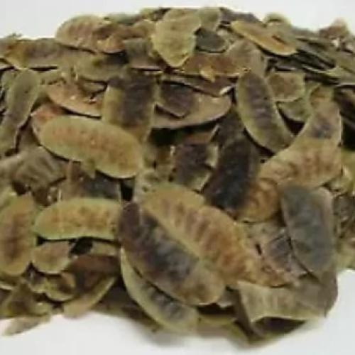 Organic Maki Senna Pods